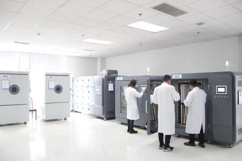 臨沂檢驗檢測中心相關(guān)木業(yè)行業(yè)入選優(yōu)秀案例