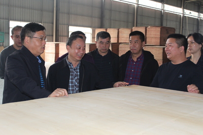 市林業(yè)局赴貴港、柳州等地開展木材精深加工考察及招商引資活動