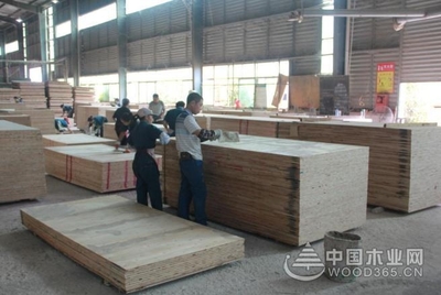 好板材,格綠造--中國木業(yè)網(wǎng)走進福建格綠木業(yè)