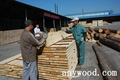 黑龍江遠(yuǎn)東木業(yè)中國大型的專業(yè)木制品生產(chǎn)企業(yè)龍頭