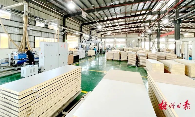 政策加力支持 服務精準滴灌|梧州市積極推動外貿(mào)高質量發(fā)展